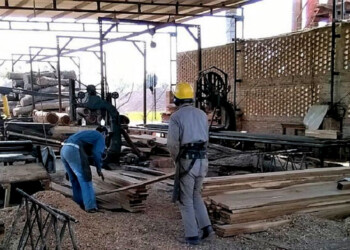 Gremio de madereros de Eldorado: “La situación del trabajador es desesperante”