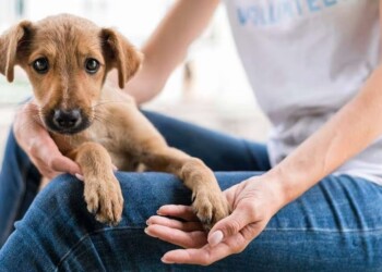 Contextos de aprendizaje