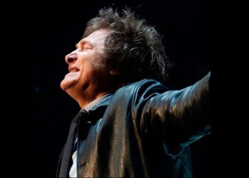 Mileísmo y democracia