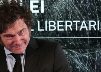 Mileísmo y democracia