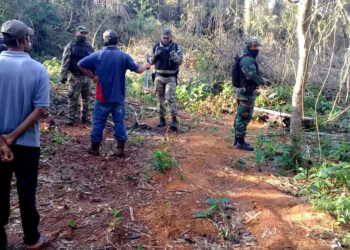 Ecología le quiere cobrar $34 millones de multa a cacique mbya de Iguazú por apeo