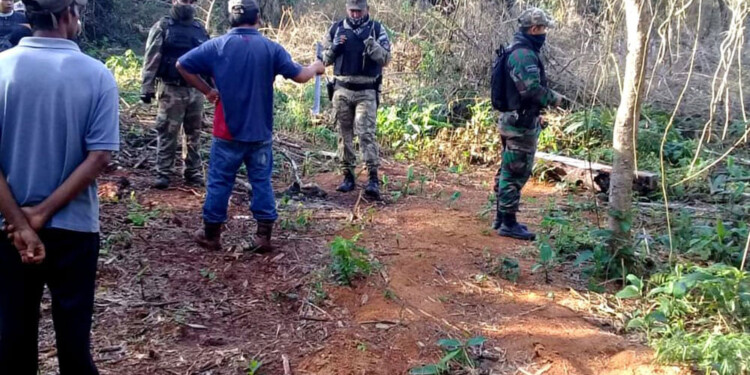 EN EL MONTE NATIVO. La comunidad Mirí Marangatú se desprendió de Fortín Mbororé hace unos 8 años.