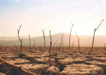 Qué país sudamericano sería inhabitable en solo 46 años, según la NASA