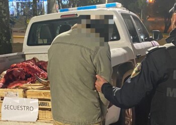 Faenó 250 kilos de carne en una chacra y quedó detenido