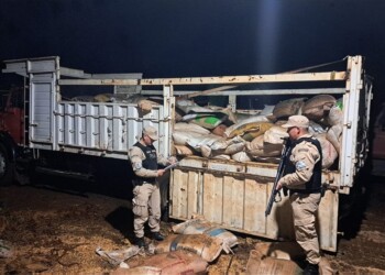 Frenan casi 100 toneladas de soja que transportaban hacia Misiones y Brasil