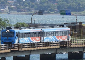 Feriado 9 de julio: cómo funcionará el tren Posadas-Encarnación