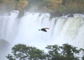 Turismo en Misiones: se prevé un 80% de ocupación hotelera al final de la temporada