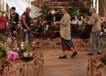 Floricultura: un mercado creciente que involucra a más de 120 familias misioneras