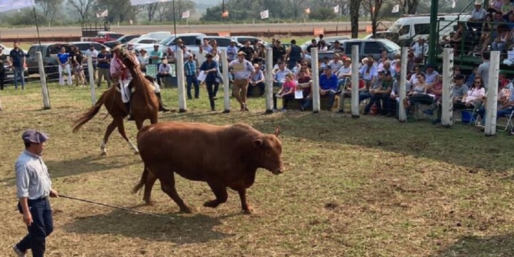 AGOTADO. Se vendieron todos los animales que se presentaron al remate.