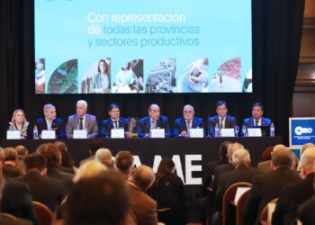 “Es fundamental que los gobernadores adhieran a la Ley de Blanqueo”