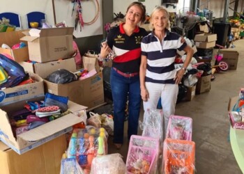 Mes de las infancias: alta demanda y pocas donaciones de juguetes