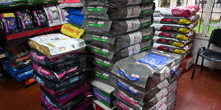 POR MASCOTA. En promedio, en Argentina se gastan 355.520 pesos para alimentar a una mascota de manera anual.