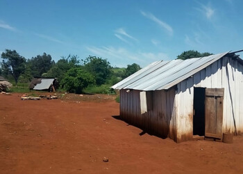 Juzgarán al acusado de femicidio que usó la coartada del COVID-19