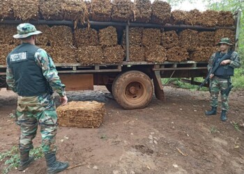 Ante el contrabando histórico, tabacaleros quedarían sin “caja verde” este año