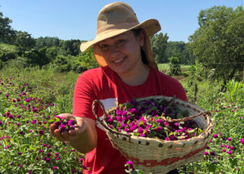 El papel de los recolectores del monte misionero en la salud natural