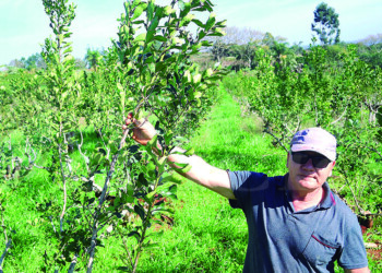 Luis Danieluk: “Este es el lugar más precioso para mi vida”