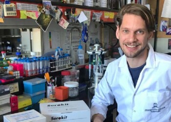 Las claves del Dengue en su Día Mundial