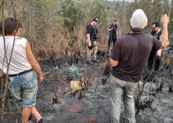 Oberá: Incautaron marihuana disimulada en dos bidones