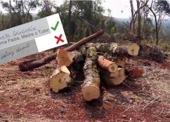 Denuncian que “falsificaron firma de la mburuvicha de El Doradito para desmontar su territorio”