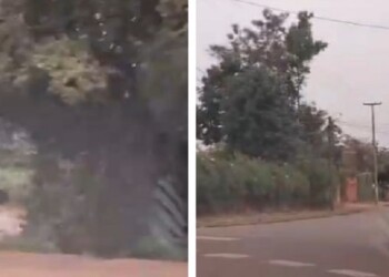 “Relatos salvajes” en Eldorado: conductores protagonizaron episodios de violencia contra los inspectores de tránsito