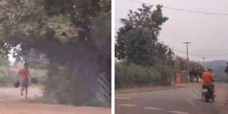 Fotos gentileza nortemisionero.com.ar