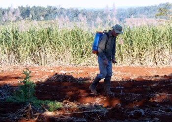 Contundente rechazo al uso de glifosato: “Atenta contra las economías regionales”