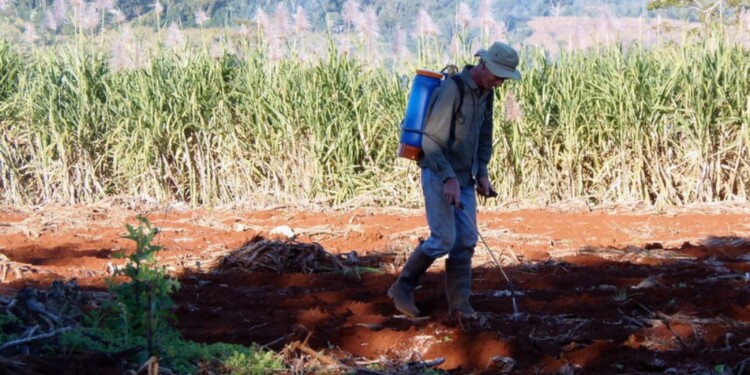 “CELEBRAMOS LA LEY Y EXIGIMOS QUE SE CUMPLA”. El uso de herbicidas es “cultural” y requiere promover cambios de fondo.