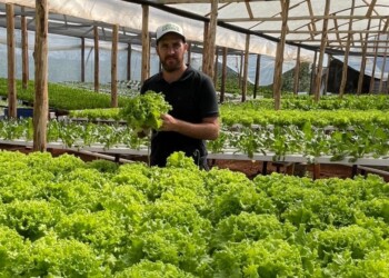 Encontró en la hidroponía su verdadera vocación