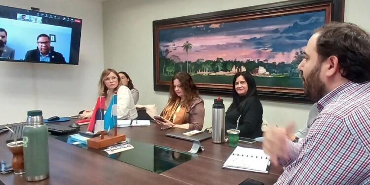 Se realizó una reunión virtual entre el equipo PPP de Alem, el intendente Sebely y autoridades municipales de Irapuato (México)