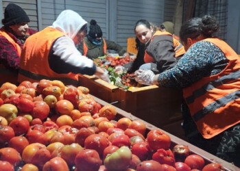 El Mercado Central y AlimenDar recuperaron más de 300 kilos de frutas y verduras para comedores