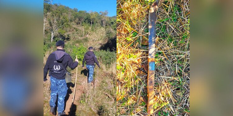 RASTRILLAJES. Durante cinco días se realizaron recorridas en la chacra de la víctima.