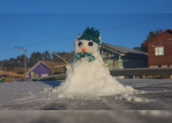 La nieve se hizo presente en un estado brasileño cercano a Misiones