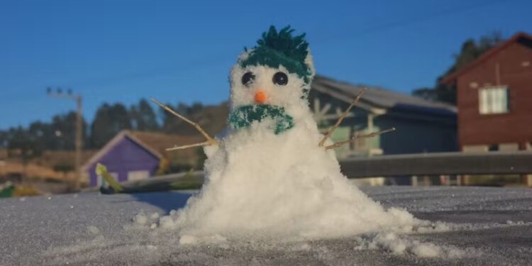 Foto: Mycchel Hudsonn Legnaghi/São Joaquim Online