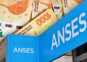 Pensiones No Contributivas: oficializaron quiénes ya no lo cobrarán en septiembre