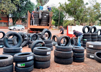 Incautaron neumáticos y mercadería de contrabando valuada en más de $ 40 millones