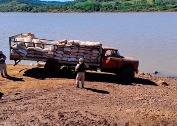 Secuestraron más de siete toneladas de soja en El Soberbio