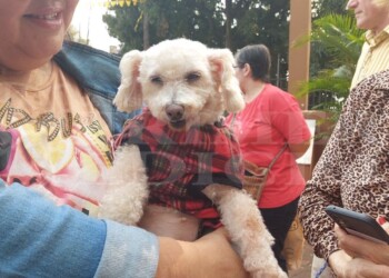 Decenas de fieles se acercaron con sus mascotas a la Parroquia San Roque para su bendición