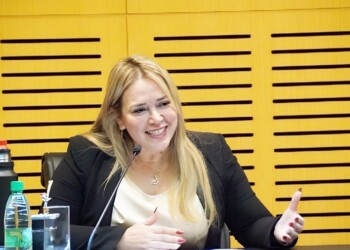 Diputados aprobaron la renuncia de Silvia Rojas en la Legislatura