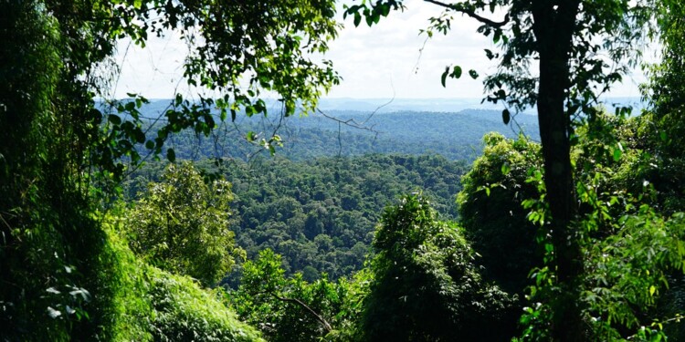 Imagen ilustrativa (Archivo)