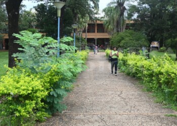 Paro universitario: más del 95% de adhesión en la primera jornada