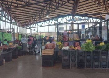 El Mercado Concentrador de Posadas cumplió 12 años