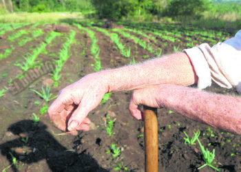 33 años de PRIMERA EDICIÓN: No olvidar el origen