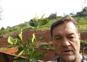 “Están más preocupados por los problemas domésticos de Alberto que por la yerba”