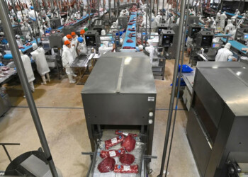 El Gobierno elimina derechos de exportación en productos agroindustriales