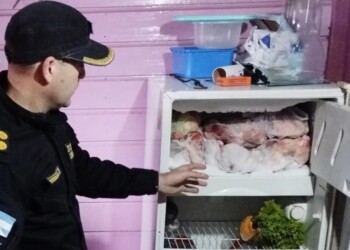 Denunció que le robaron una vaca de 400 kilos, la faenaron y sólo recuperó la mitad