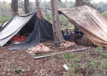 Rescatan a 12 trabajadores en condiciones inhumanas en establecimiento yerbatero de San Vicente