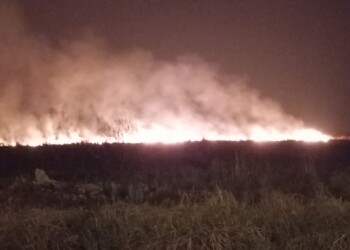 Posadas: el viento reavivó las llamas, se acerca a las viviendas y hay preocupación en vecinos de Itaembé Guazú