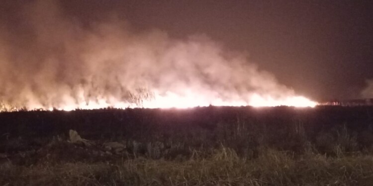 El incendio lleva más de dos horas y se vuelve difícil de controlar por el viento. Foto: gentileza, Analía Colazo