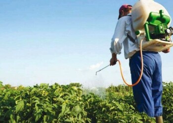 Glifosato: ratifican que la Ley de Bioinsumos no se modificará