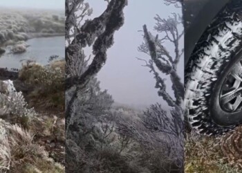 Video: espectacular helada en Santa Catarina durante la madrugada de este sábado